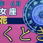 【乙女座】2024年6月の運勢を占星術とタロットで占います