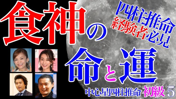 四柱推命経験者必見★食神 命と運 初級5 #食神の女 #食神の男 #独立開業 #開業 #月支元命 #月柱天干通変 #年運 #四柱推命 #運勢 #華原朋美 #浅田舞 #山口達也 #貴乃花