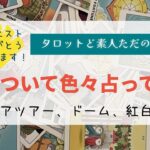 リクエスト企画／INIについて色々占ってみました【タロットど素人ただの主婦】