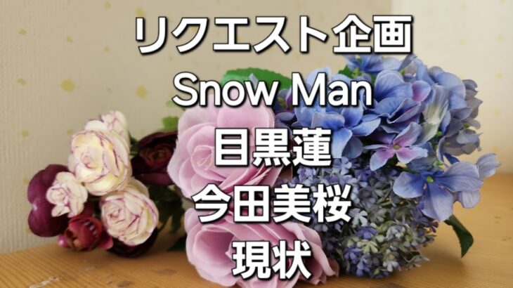 リクエスト企画　Snow Man目黒蓮と今田美桜現状をタロットでみた