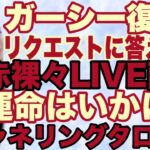 【チャネリングタロット】ガーシー復活　リクエストにこたえる　ガーシーと私の前世　ガーシーの運命はいかに　すべての心境を赤裸々に