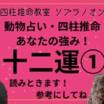 【🌟金運🌟四柱推命🌟】あなたの星の強みを発表します！動物占い＝四柱推命の十二運の星①🌟