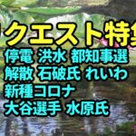 タロット占い　リクエスト特集－大停電、都知事選、国政、大谷選手等