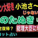 【タロット占い】　緑のたぬき氏は‼️総⭕️大臣になるのか⁉️小池百合子都知事選 石丸伸二