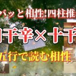 ズバッと相性!四柱推命〜日干辛と十干の相性