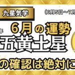 【占い】超危険！〇〇の確認は絶対にして！　2024年6月の五黄土星の運勢・九星気学【仕事より遊び過ぎ！】（6月5日～ 7月5日）＃全体運　＃仕事運　＃健康運　＃対人運　＃金運　＃吉日　＃吉方位