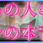 本音が色々見てえきました🦄💖個人鑑定級深掘り タロット🌞🌈