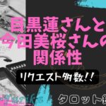 [リクエスト多数]目黒蓮さんと今田美桜さんの関係性🔮倍速推奨。