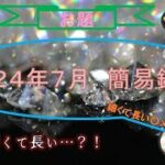 占い３７（２０２４年７月簡易鑑定）