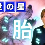 【四柱推命】大人気12運シリーズ！前世の記憶を持つ胎児の星「胎」の性格や開運方法を公開！！