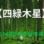 【四緑木星】2024年9月の運勢！～運勢は回復傾向、幸福の種は足元（身近）にある