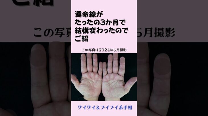 【3か月でもこんなに変化した！経営者手相】ゆる手相解説 #経営者 #起業家 #事業家 #仕事運 #占い #手相 #手相占い #line #short #shorts #ショート #阿佐谷 #阿佐ヶ谷