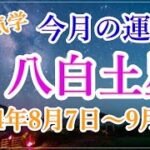 【今月の運勢 】八白土星、全体運・財運・異性運・仕事運・健康運・吉方位と凶方位【九星気学】