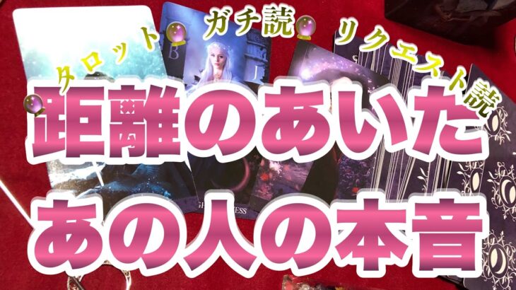 【タロット占い】『今距離のあいたお相手のお気持ち』リクエスト読み　ガチンコ占い　忖度無し　カード差し替え無し