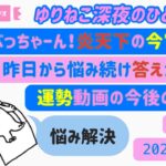 【占い】炎天下の今宮戎でえべっちゃーん！／ご当地キャラと神様のカンケイ／悩んだ結果答えが出ました運勢はフリートークで／「ゆりねこ深夜のひとりごと」vol. 21(2024.8.2＃開運＃九星気学＃運勢