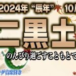 【占い】二黒土星2024年10月の運勢【九星気学】争いの月？｜ストレスはNG、変化にも柔軟に【睡眠導入】【秀夏塾】