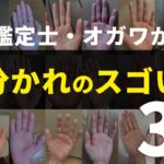 【手相】二股に分かれる3つの線が持つスゴい才能