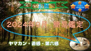 占い３９（２０２４年９月簡易鑑定）