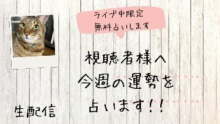 【ライブ限定】視聴者様の今週の運勢を占います！