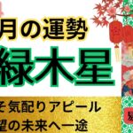 【四緑木星】絶好調の11月‼️自分ファーストで更に開運❤恋愛👠仕事💲金運（易3択おまけ付き）九星気学🌟