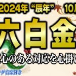 【占い】六白金星2024年10月の運勢【九星気学】信頼される月！周りの手を借りることでさらに強くなる【睡眠導入】【秀夏塾】