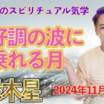 【占い・九星気学】2024年11月 四緑木星の月運