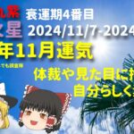 占い 開運 九紫火星 2024年11月運気 九星気学 本命星九紫 九紫火気 体裁や見た目を気にしない事が開運です！【けんどこ第236回】2024/11/7-2024/12/6　ゆっくり解説