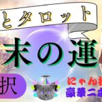 【易占い】ほっこり幸せな年の瀬へ♫年末の私はどうなるの💕早くも冬に備えて易3択🎲とタロット3択🐱の豪華2本仕立てで深堀り！秋の夜長のひとときを軽快な占い動画でお楽しみ下さい🌙