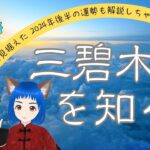 【占い・九星気学】九星の解体新書#6 三碧木星を知る  三碧木星さんの2025年を見据えた2024年後半の運勢も解説しちゃう