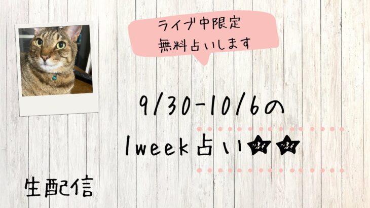 【ライブ限定】9/30-10/6の1week占い★簡単な１枚引き鑑定します！