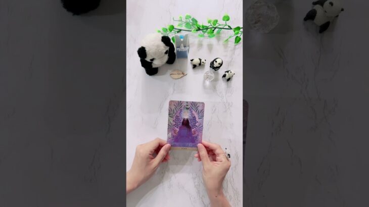 【今のあなたへ必要なメッセージ】 #占い #tarot #癒し動画 #タロット #オラクルカードリーディング