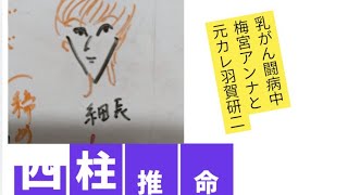 【闘病中】梅宮アンナ　元カレの羽賀研二　四柱推命で占いました