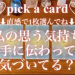 【リクエスト💡】サクッとショートリーディング🌟私の思う気持ちお相手に伝わってる？？気づいてる？😳その後の2人やアドバイス等を占いました🔮タロット占い/オラクルカードリーディング/ルノルマンカード