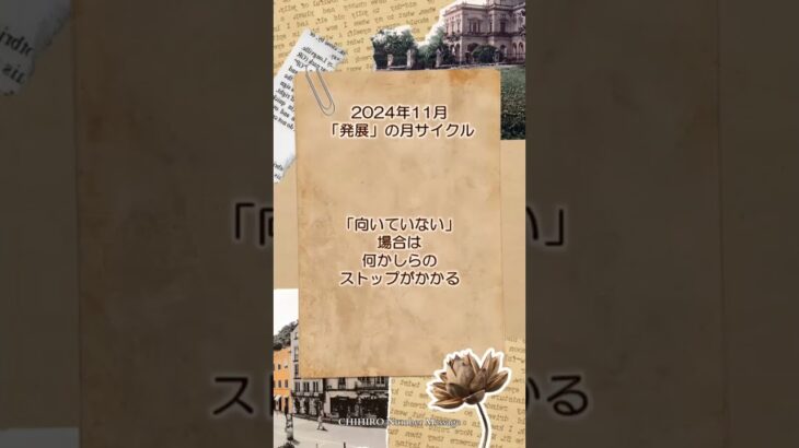 【数秘術】2024年11月の流れ：気を付けてほしいこと【占い】