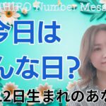 【数秘術】2024年11月12日の数字予報＆今日がお誕生日のあなたへ【占い】