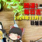 良い病院選びの方法について 占い  開運　毎日吉方位　2024年11月13日（水）日盤吉方版【九星気学】一白水星 二黒土星 三碧木星 四緑木星 五黄土星 六白金星 七赤金星 八白土星 九紫火星