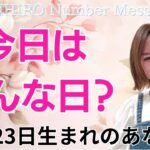 【数秘術】2024年11月23日の数字予報＆今日がお誕生日のあなたへ【占い】