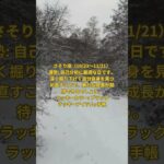 #令和6年11月2日の星座占い