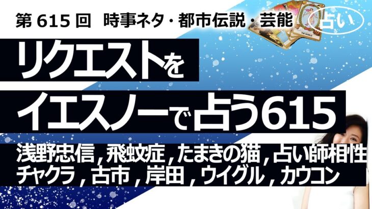 【615回目】イエスノーでリクエスト占い…浅野忠信,飛蚊症,たまきの猫,占い師相性,チャクラ,古市,岸田,ウイグル,カウコン【占い】（2024/11/22撮影）