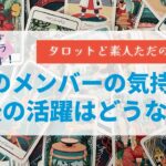 TXTメンバーの気持ちと今後の活躍はどうなる？【タロット占い】