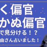 【🌟金運🌟四柱推命🌟】動く偏官、動かぬ偏官、どこで見分けるか？堀田真由さん占いました！