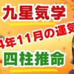 １１月の運気予報＊九星別＆四柱推命からの観点でお伝え致します🍁