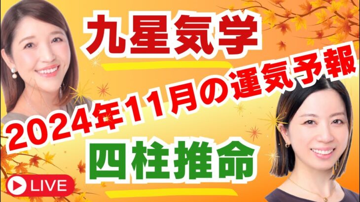 １１月の運気予報＊九星別＆四柱推命からの観点でお伝え致します🍁