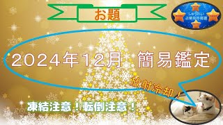 占い４２（２０２４年１２月簡易鑑定）