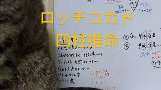 【ミシン芸人】ロッチコカド　四柱推命で占いました