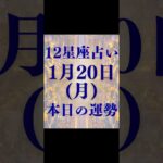 2025年1月20日月曜日運勢12星座別占い