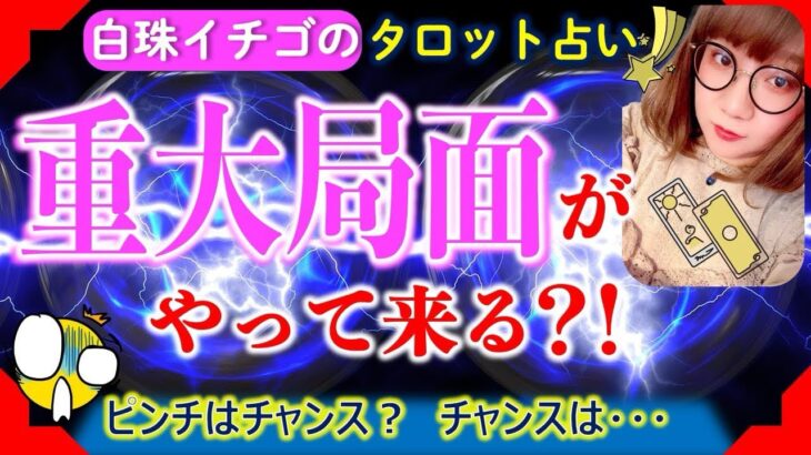 ★忖度なしタロット占い★このあとあなたにやってくる重大局面★占い芸人★