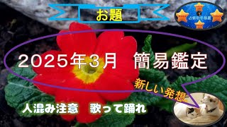 占い４５（２０２５年３月簡易鑑定）